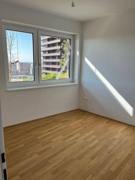 tosons sast 40301 Foto4.jpg