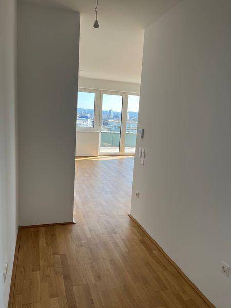 tosons sast 40301 Foto9.jpg