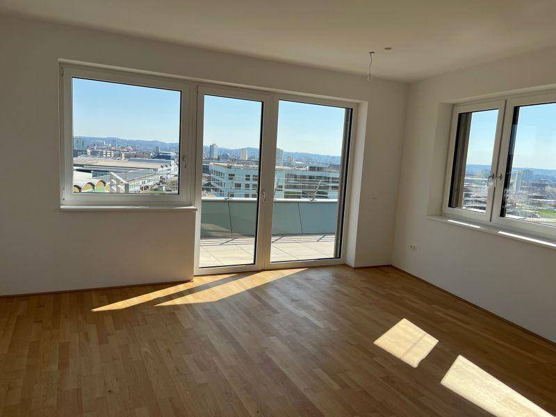 tosons sast 40301 Foto3.jpg