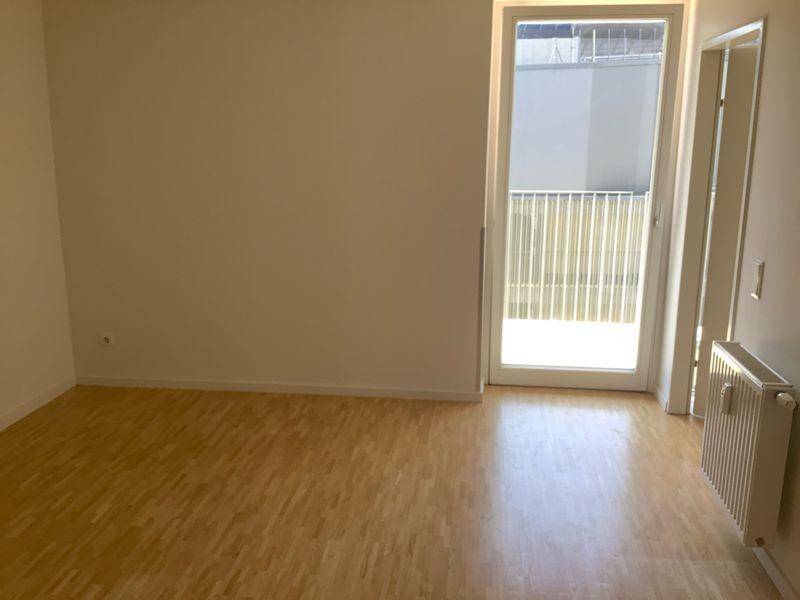 tosons sast 36001 Foto2.JPG