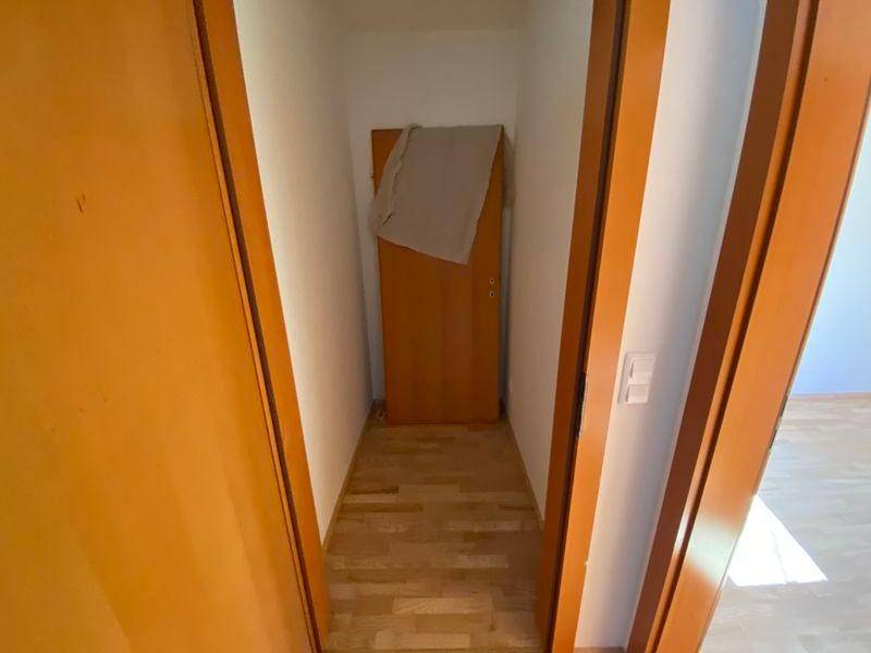 tosons peste 154701 IMG 4226.jpeg