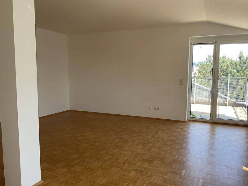tosons sast 29101 Foto1.jpg