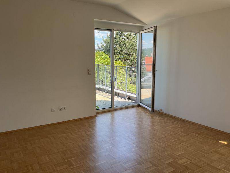 tosons sast 29101 Foto3.jpg