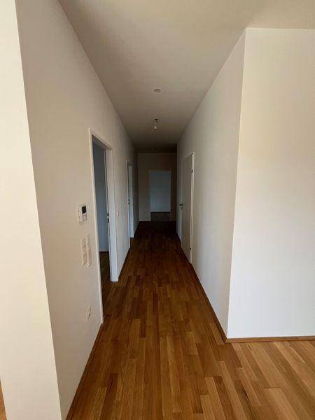 tosons sast 40301 Foto2.jpg