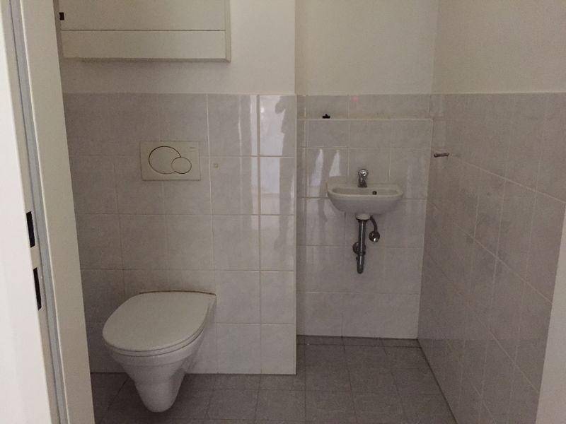 tosons sast 53001 Toilette.JPG