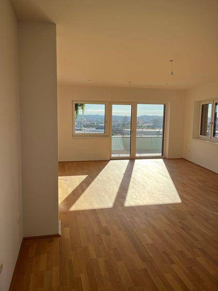 tosons sast 40301 Foto1.jpg