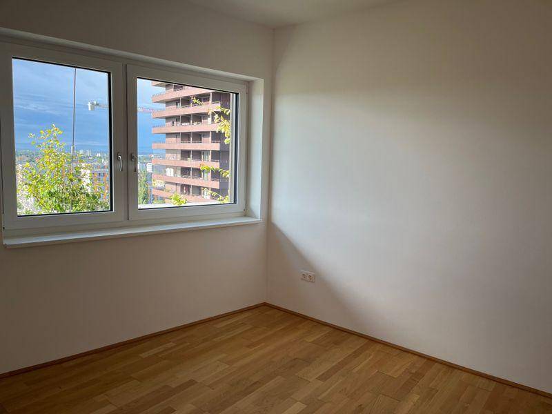 tosons sast 40301 Foto.jpg