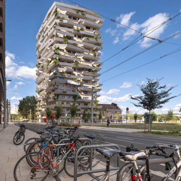 tosons sast 40301 Greentower.jpg