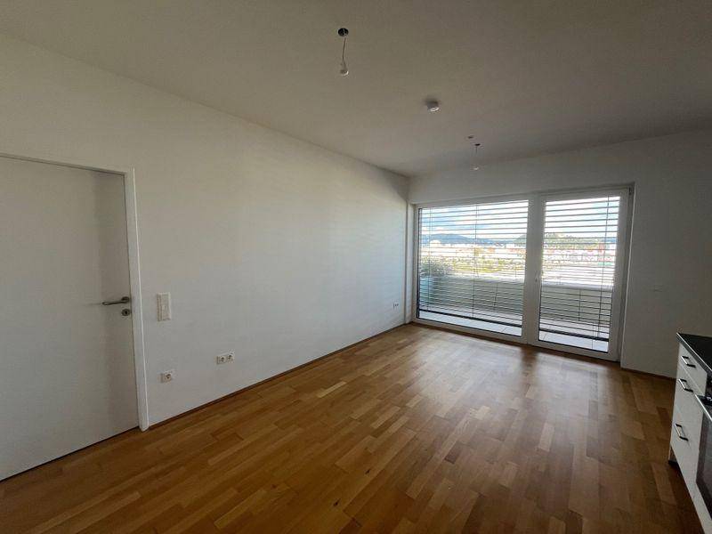 tosons sast 40301 Top143 3.jpg