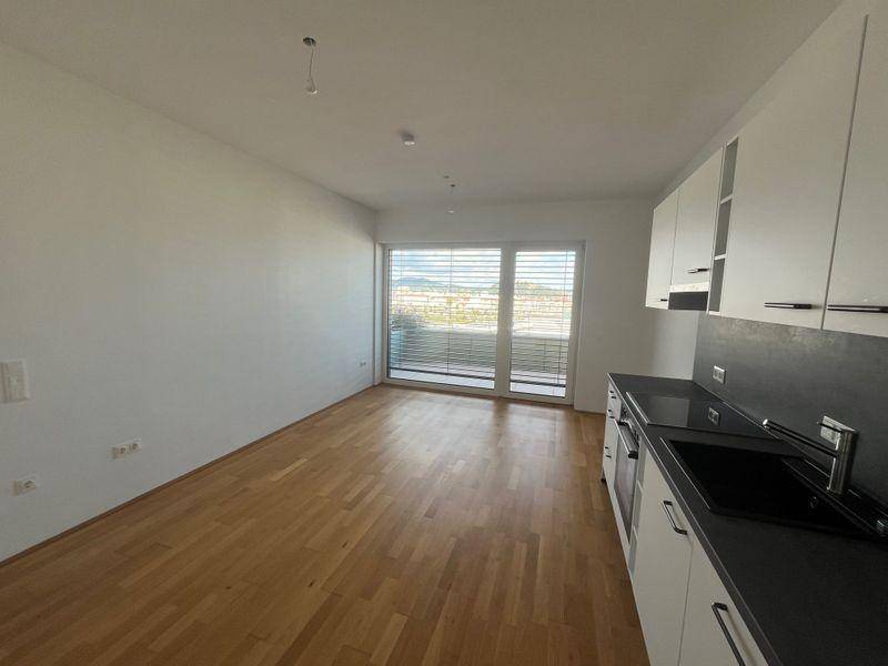 tosons sast 40301 Top143 1.jpg