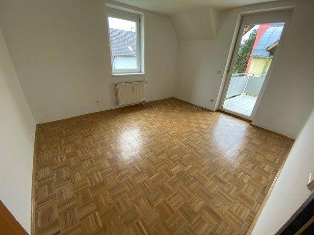 tosons saba 320301 Foto10.jpg.jpg