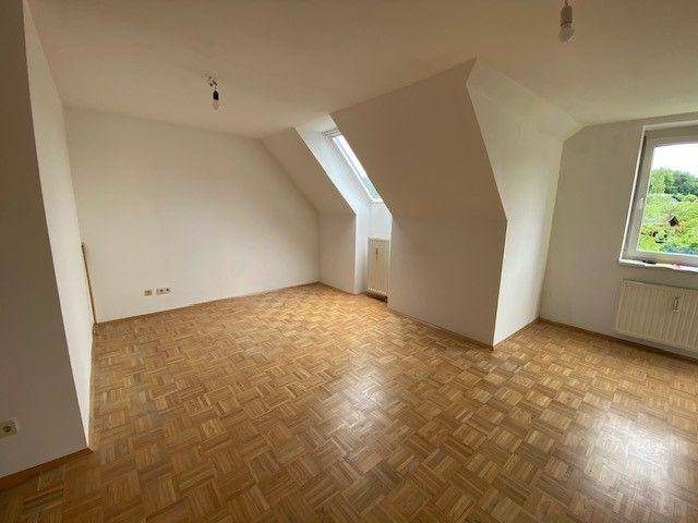 tosons saba 320301 Foto3.jpg.jpg