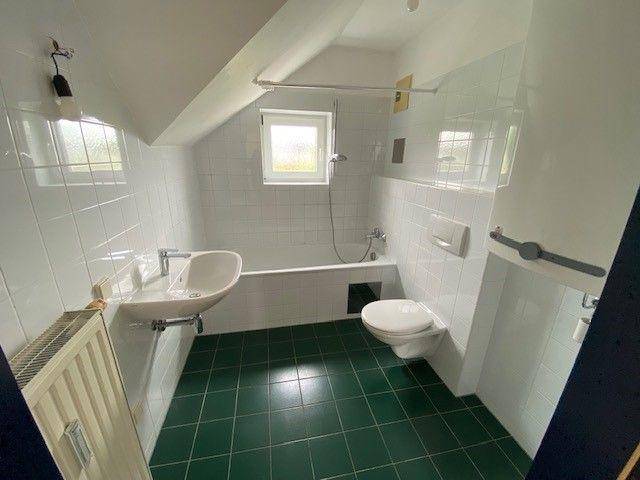 tosons saba 320301 Foto8.jpg.jpg