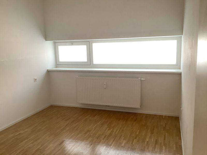 tosons sast 36804 Foto1.JPG