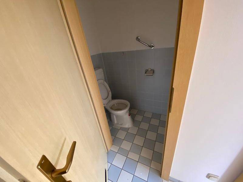 tosons peste 140201 IMG 4670.jpeg