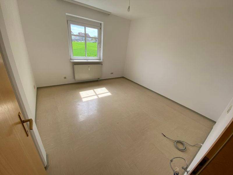 tosons peste 140201 IMG 4671.jpeg