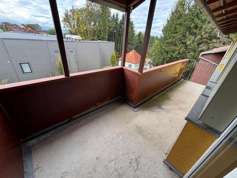 tosons peste 160701 IMG 7335.jpeg