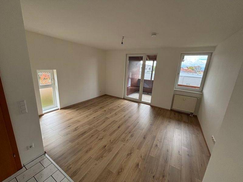 tosons peste 160701 IMG 7334.jpeg