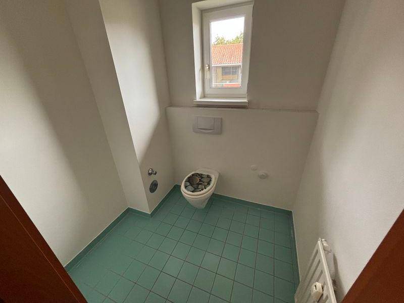 tosons peste 160701 IMG 7340.jpeg