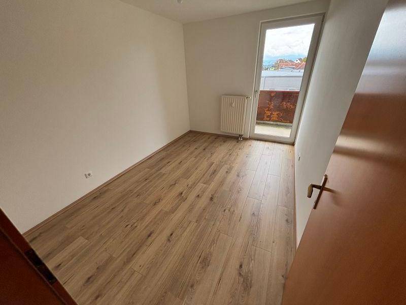 tosons peste 160701 IMG 7338.jpeg