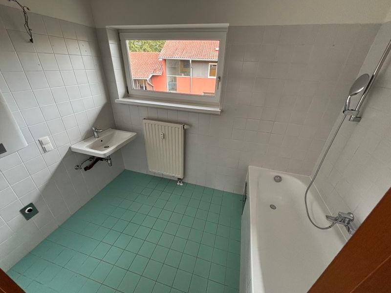 tosons peste 160701 IMG 7339.jpeg