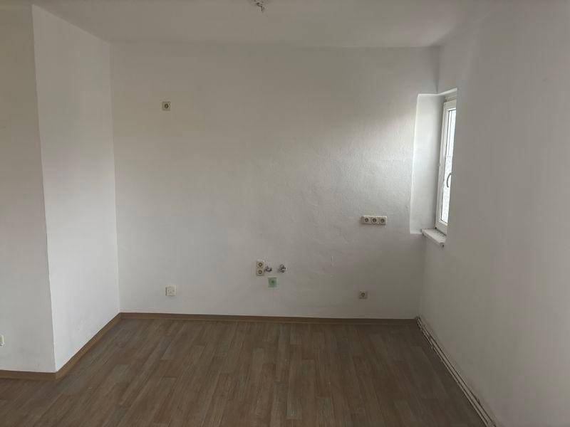 tosons ansc 501 IMG 0164.jpeg