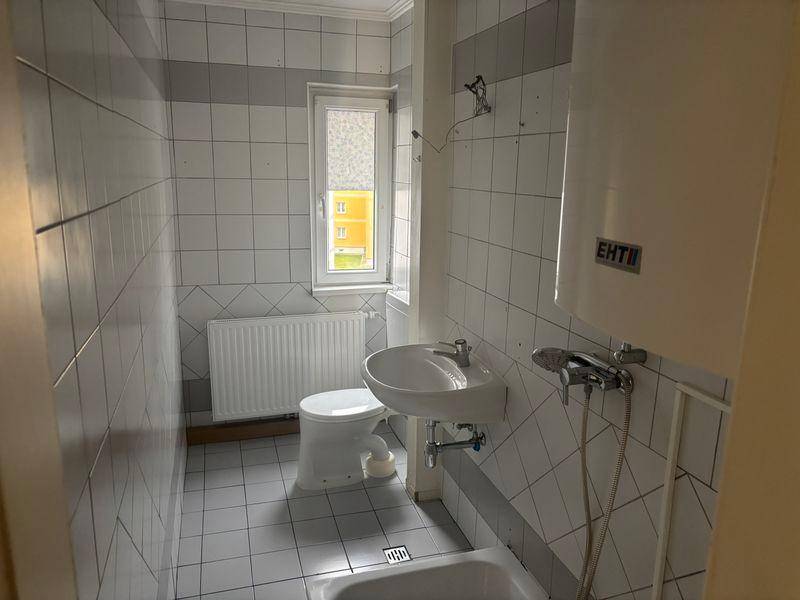 tosons ansc 501 IMG 0165.jpeg