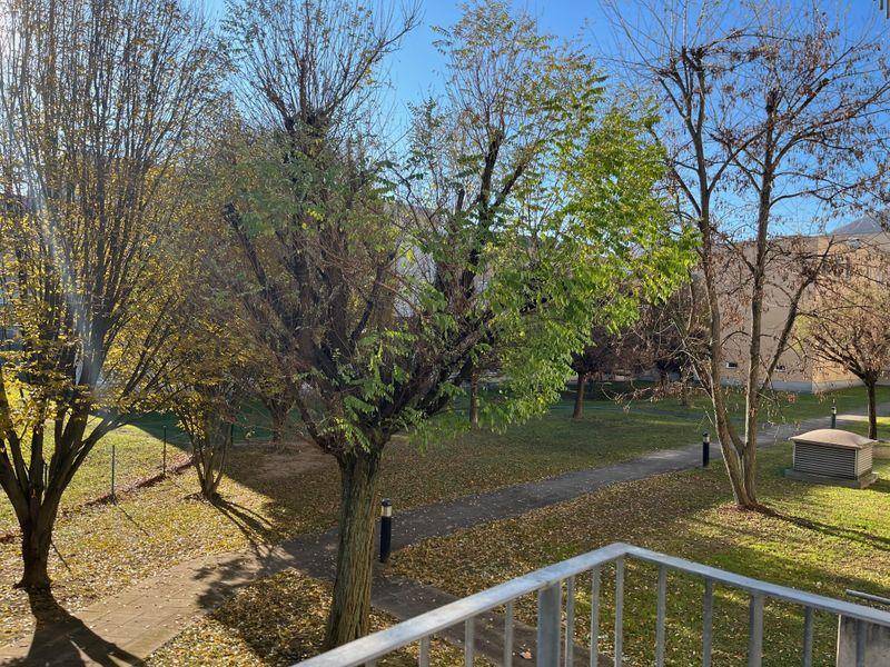 Blick auf eine weitläufige, grüne Gartenanlage mit Bäumen und Wegen, die zum Spazierengehen einlädt.