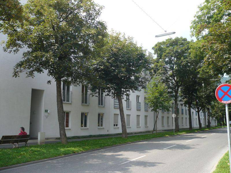 Ansicht der Gebäudefassade von der Straße mit hohen Bäumen und einem breiten Gehweg.