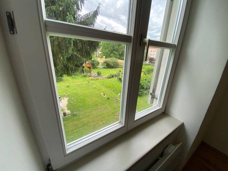 Fensterblick ins Grüne mit Bäumen und einem kleinen Gartenbereich im Hintergrund.