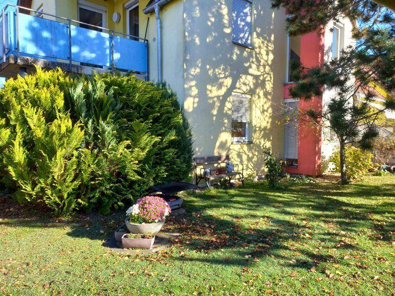 Sonnige Gartenecke mit Blumenkübeln und einem Balkon im Hintergrund, umgeben von Bäumen.