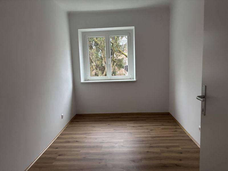 Leeres Zimmer mit Laminatboden und einem Fenster mit Blick ins Grüne.