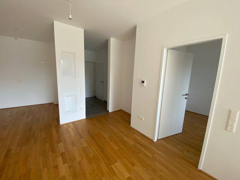 Offener Wohnbereich mit Holzboden und weiß gestrichenen Wänden, ideal für moderne Einrichtungskonzepte.