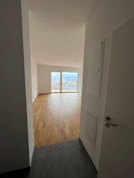 Heller Eingangsbereich führt in ein leeres Wohnzimmer mit Parkettboden und großen Fenstern.