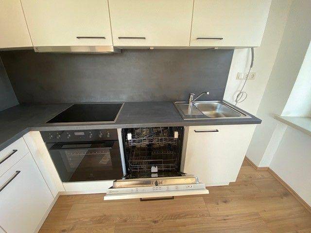 Moderne Einbauküche mit Spülmaschine, Backofen und Induktionskochfeld, alles in weiß und grau gehalten.