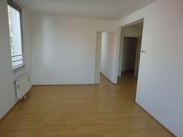 Heller Wohnraum mit Laminatboden und Zugang zu weiteren Zimmern, ideal für offenes Wohnen.