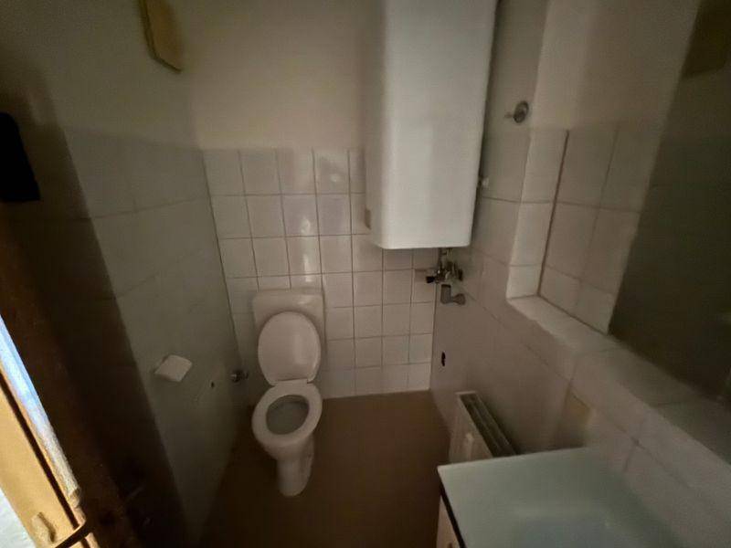 tosons peste 151901 IMG 2631.jpeg
