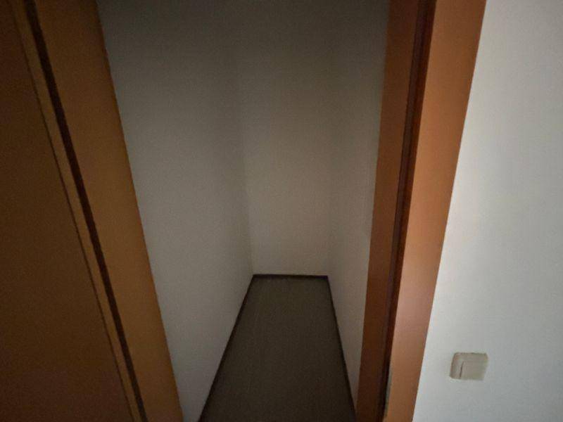 tosons peste 151901 IMG 2628.jpeg