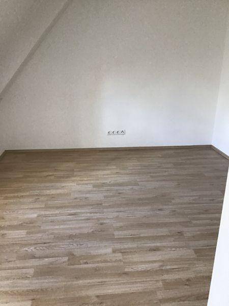 tosons saba 2899 Foto5.JPG