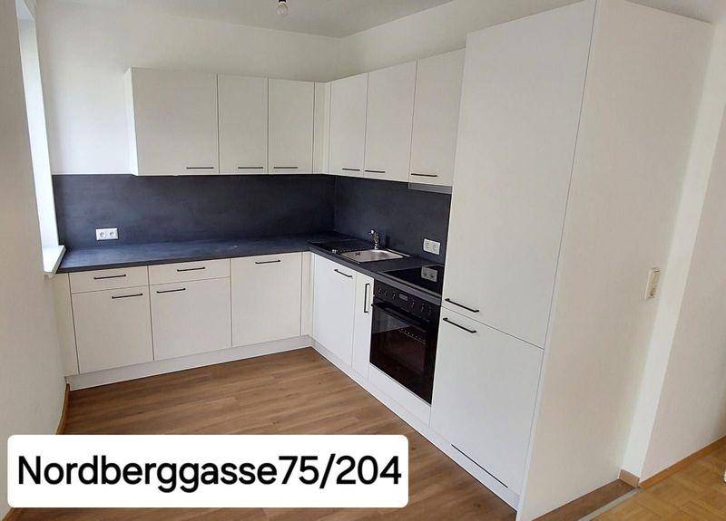 Moderne Einbauküche mit weißen Schränken, dunkler Arbeitsplatte und integrierten Geräten.