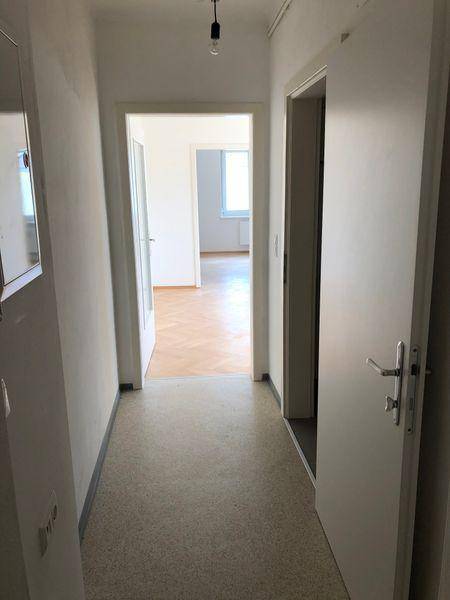 Heller Flur mit Teppichboden und Zugang zu weiteren Zimmern der Wohnung, gut beleuchtet.