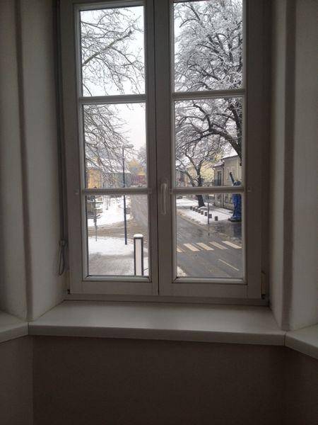 Fenster mit Blick auf eine verschneite Straße und kahle Bäume im Winter.