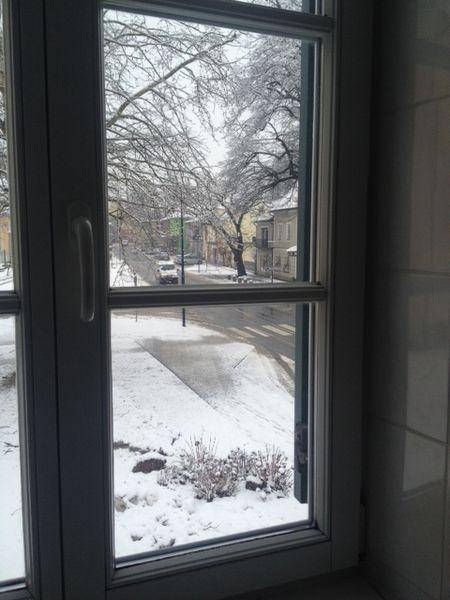 Blick aus dem Fenster auf eine verschneite Straße mit Bäumen und parkenden Autos.