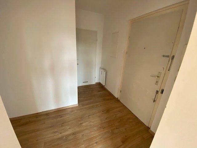Eingangsbereich mit Laminatboden und weiß gestrichenen Wänden.