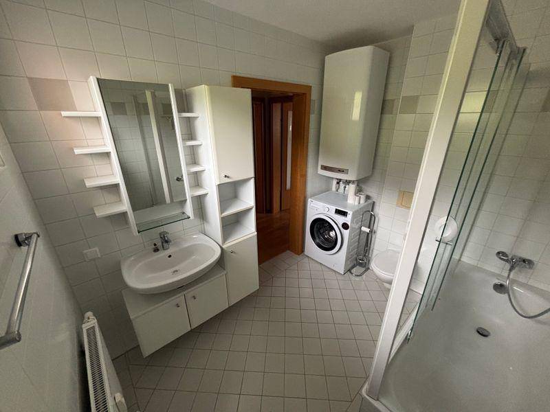 Badezimmer mit Dusche, Waschbecken, Spiegelschrank und Waschmaschine.