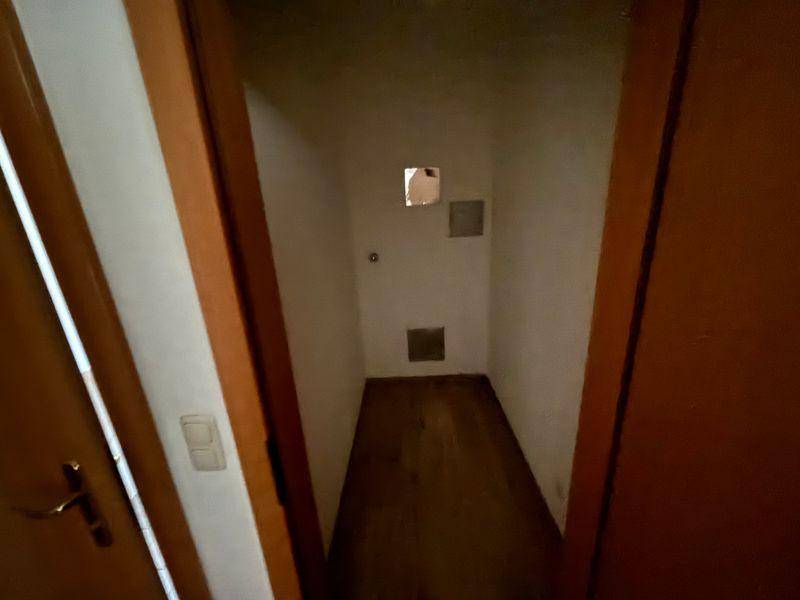 tosons peste 158601 IMG 8350.jpeg