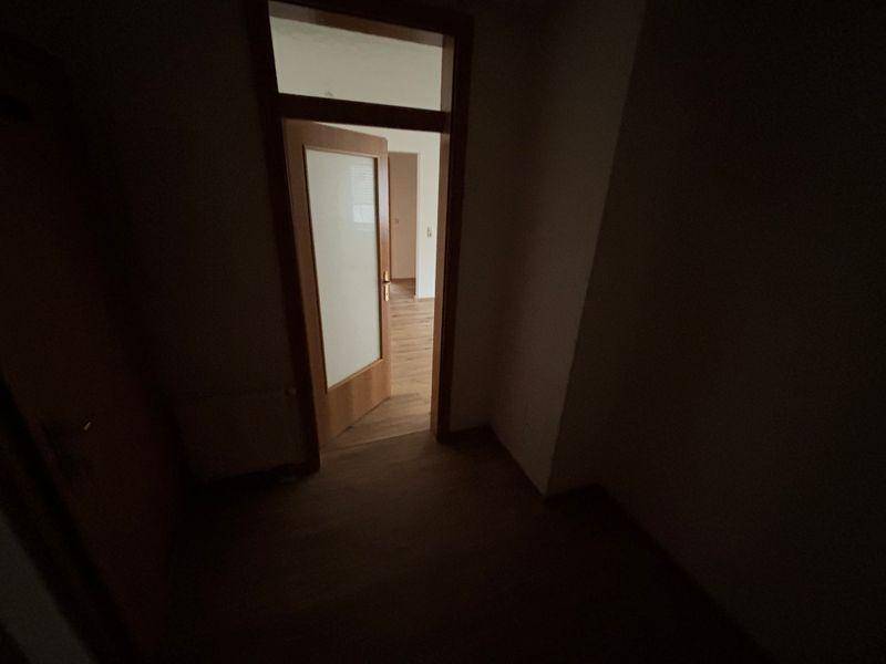 tosons peste 158601 IMG 8348.jpeg