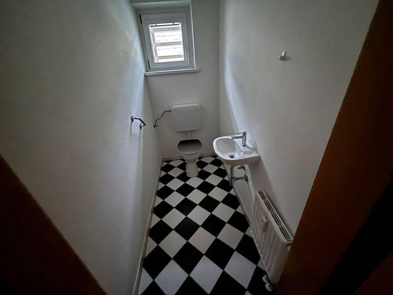 tosons peste 158601 IMG 8359.jpeg