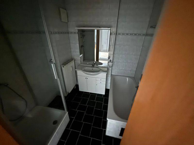 tosons peste 158601 IMG 8367.jpeg