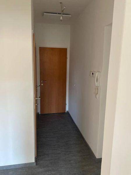 tosons kabr 2699 Klopstockgasse3 WHG6 Image 1.jpg